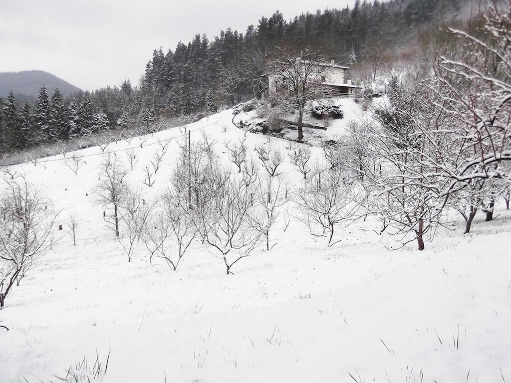 Casa Rural Madariaga Hotell Artea Exteriör bild
